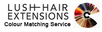 Hair Extension Colour Match Service